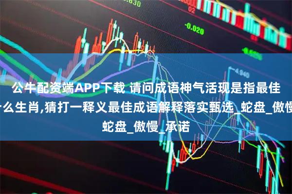 公牛配资端APP下载 请问成语神气活现是指最佳哪个什么生肖,猜打一释义最佳成语解释落实甄选_蛇盘_傲慢_承诺